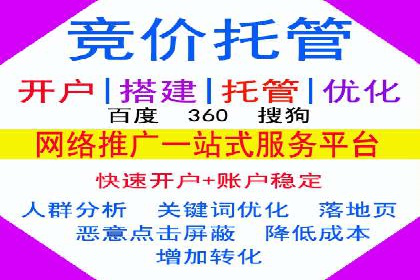 SEM外包助力品牌增长案例解析